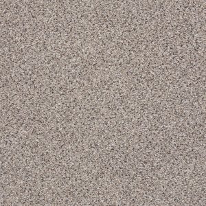 Shaw Floors Retail TAKE THE FLOOR ACCENT II - 00580 COLD SPRINGS