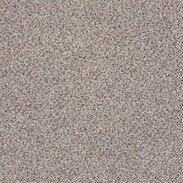 Shaw Floors Retail TAKE THE FLOOR ACCENT II - 00580 COLD SPRINGS