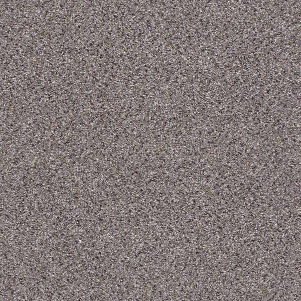 Shaw Floors Retail TAKE THE FLOOR ACCENT II - 00581 SOAPSTONE
