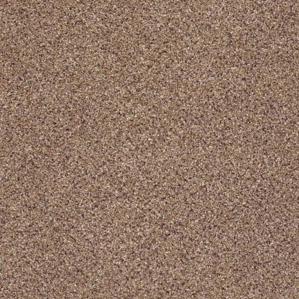 Shaw Floors Retail TAKE THE FLOOR ACCENT II - 00780 BALTIC BROWN