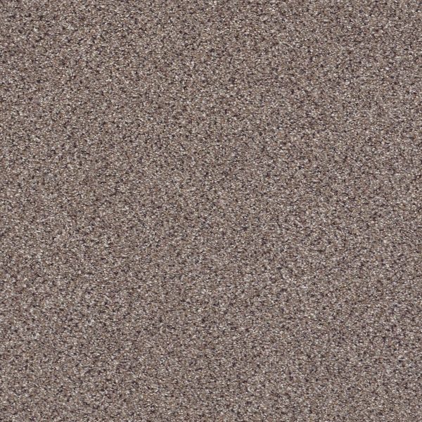 Shaw Floors Retail TAKE THE FLOOR ACCENT II - 00781 STORM