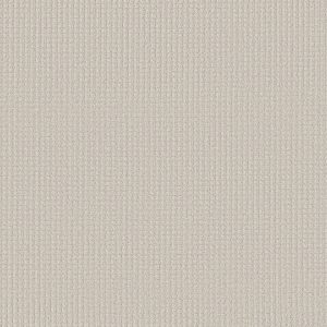 Shaw Floors Retail AERIAL ARTS - 00100 COTTON