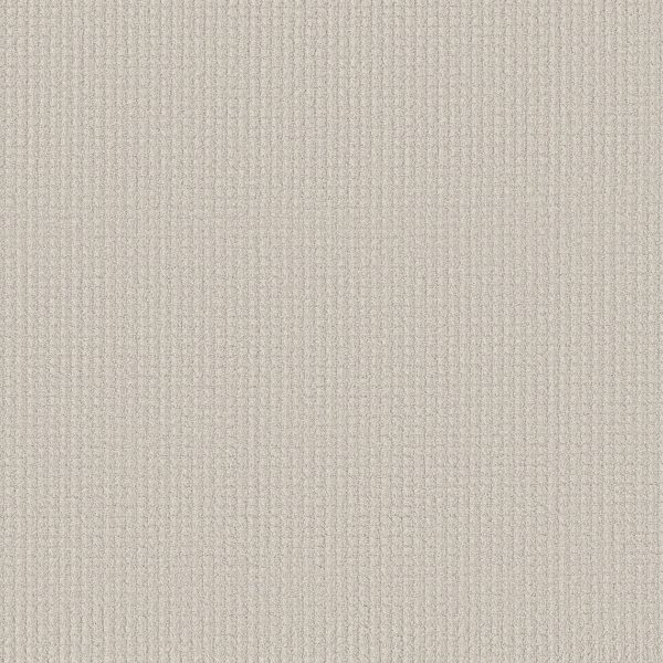 Shaw Floors Retail AERIAL ARTS - 00100 COTTON