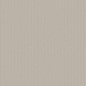 Shaw Floors Retail AERIAL ARTS - 00102 SOFT LINEN