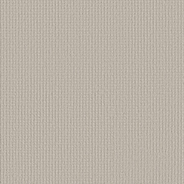 Shaw Floors Retail AERIAL ARTS - 00102 SOFT LINEN