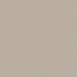 Shaw Floors Retail AERIAL ARTS - 00103 CANVAS