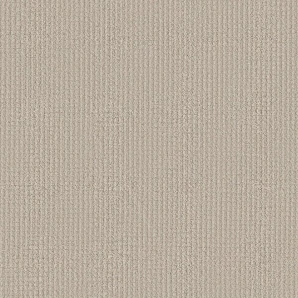 Shaw Floors Retail AERIAL ARTS - 00103 CANVAS