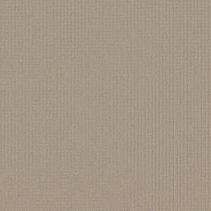 Shaw Floors Retail AERIAL ARTS - 00104 TIRAMISU