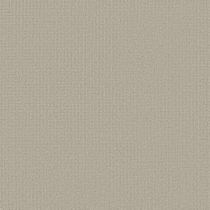 Shaw Floors Retail AERIAL ARTS - 00105 SPUN WOOL