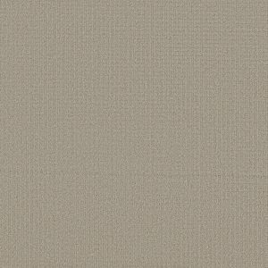 Shaw Floors Retail AERIAL ARTS - 00106 NATURAL STONE