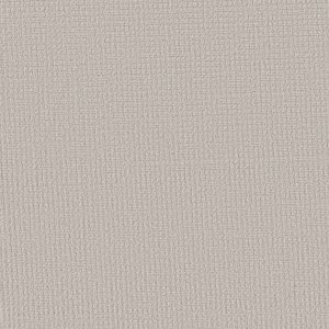 Shaw Floors Retail AERIAL ARTS - 00500 FROST