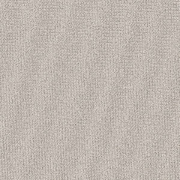 Shaw Floors Retail AERIAL ARTS - 00500 FROST