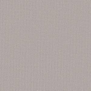 Shaw Floors Retail AERIAL ARTS - 00501 HAZE