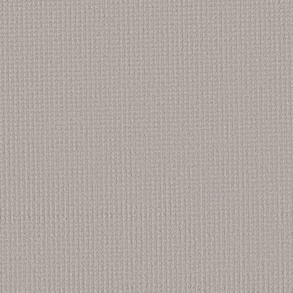 Shaw Floors Retail AERIAL ARTS - 00501 HAZE
