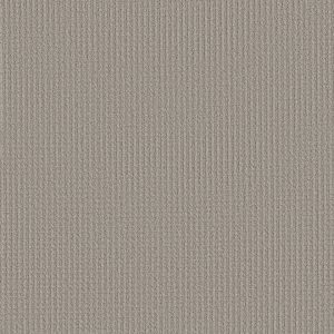 Shaw Floors Retail AERIAL ARTS - 00502 POWDER GREY