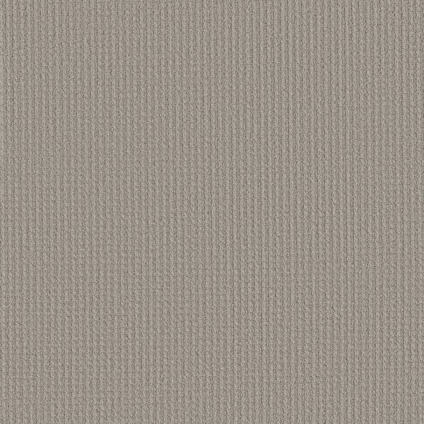 Shaw Floors Retail AERIAL ARTS - 00502 POWDER GREY