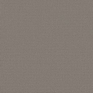 Shaw Floors Retail AERIAL ARTS - 00503 DARK SLATE