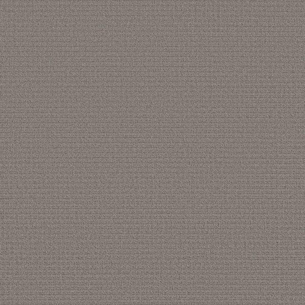 Shaw Floors Retail AERIAL ARTS - 00503 DARK SLATE