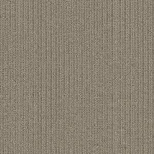 Shaw Floors Retail AERIAL ARTS - 00700 ARTISAN TAUPE