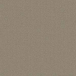 Shaw Floors Retail AERIAL ARTS - 00701 BURNISHED CLAY