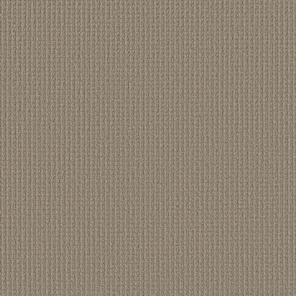 Shaw Floors Retail AERIAL ARTS - 00701 BURNISHED CLAY
