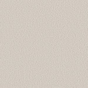 Shaw Floors Retail AERIAL VIEW - 00100 COTTON