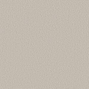 Shaw Floors Retail AERIAL VIEW - 00102 SOFT LINEN