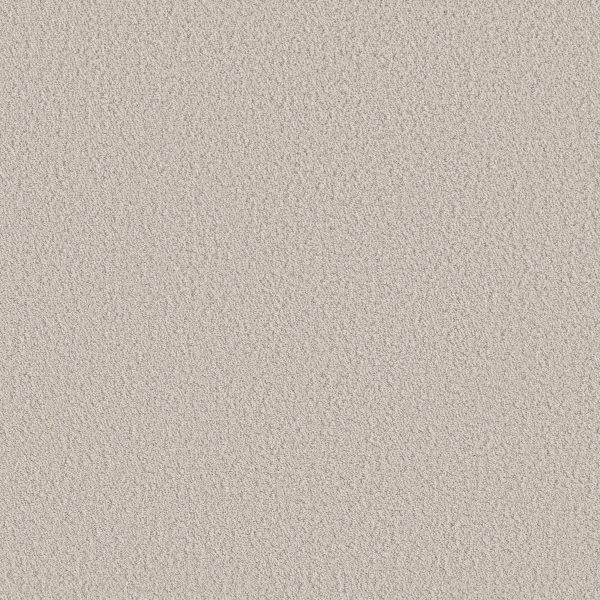 Shaw Floors Retail AERIAL VIEW - 00102 SOFT LINEN