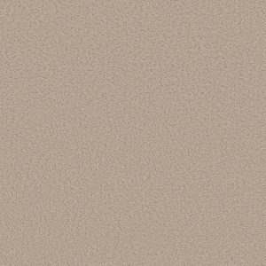 Shaw Floors Retail AERIAL VIEW - 00104 TIRAMISU