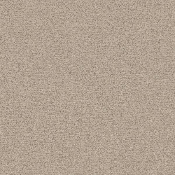 Shaw Floors Retail AERIAL VIEW - 00104 TIRAMISU