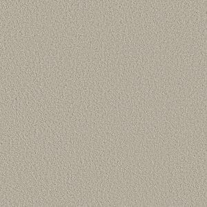 Shaw Floors Retail AERIAL VIEW - 00105 SPUN WOOL