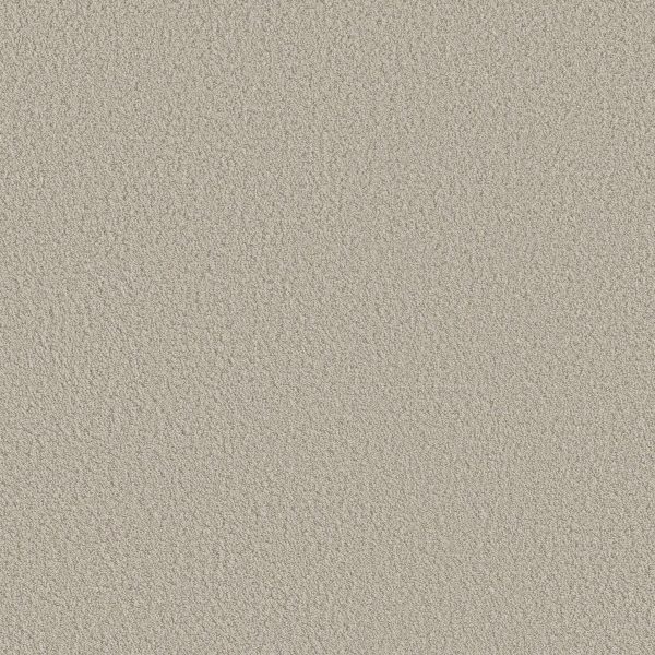 Shaw Floors Retail AERIAL VIEW - 00105 SPUN WOOL
