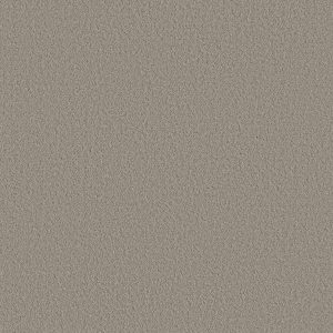 Shaw Floors Retail AERIAL VIEW - 00106 NATURAL STONE