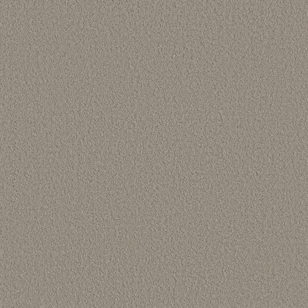Shaw Floors Retail AERIAL VIEW - 00106 NATURAL STONE