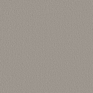 Shaw Floors Retail AERIAL VIEW - 00502 POWDER GREY