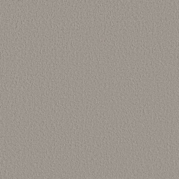 Shaw Floors Retail AERIAL VIEW - 00502 POWDER GREY