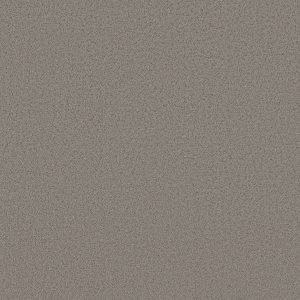 Shaw Floors Retail AERIAL VIEW - 00503 DARK SLATE