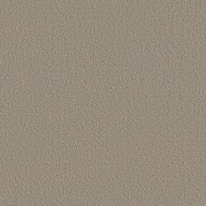 Shaw Floors Retail AERIAL VIEW - 00700 ARTISAN TAUPE