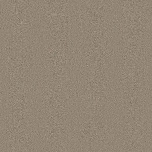 Shaw Floors Retail AERIAL VIEW - 00701 BURNISHED CLAY