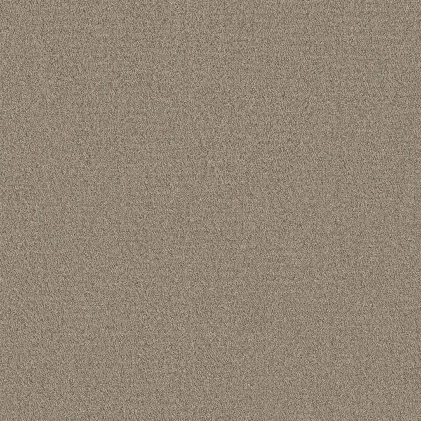 Shaw Floors Retail AERIAL VIEW - 00701 BURNISHED CLAY