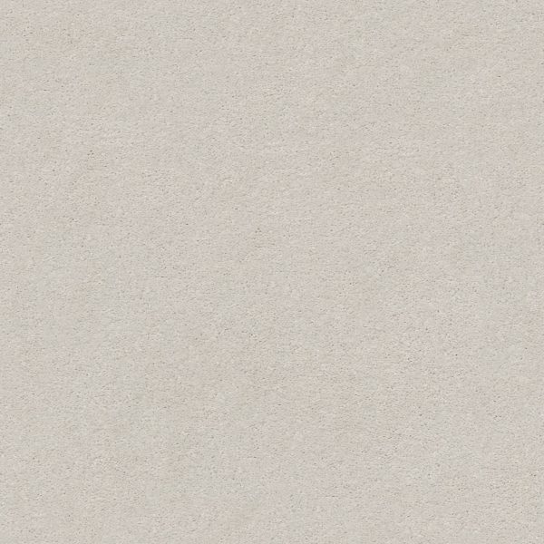 Shaw Floors Retail MONTAGE I - 00100 PAINTER'S CANVA