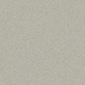 Shaw Floors Retail MONTAGE I - 00530 RIVER ROCK