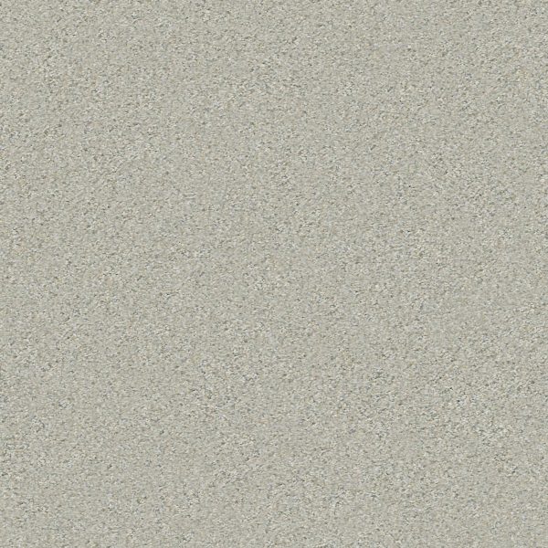 Shaw Floors Retail MONTAGE I - 00530 RIVER ROCK