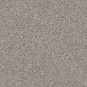Shaw Floors Retail MONTAGE II - 00103 POLISHED STONE