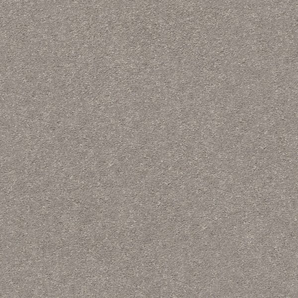 Shaw Floors Retail MONTAGE II - 00103 POLISHED STONE