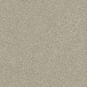 Shaw Floors Retail MONTAGE II - 00120 SHORELINE HAZE