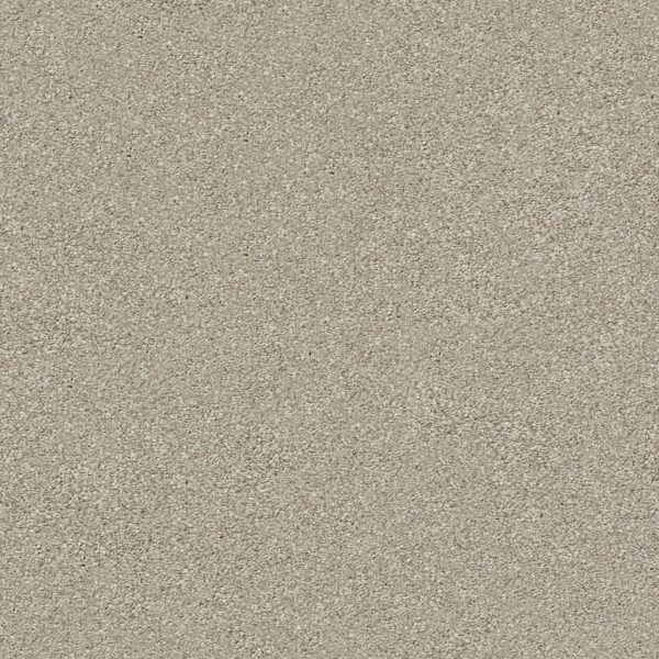 Shaw Floors Retail MONTAGE II - 00120 SHORELINE HAZE