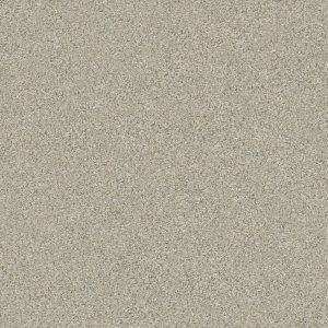 Shaw Floors Retail MONTAGE II - 00130 SPUN WOOL