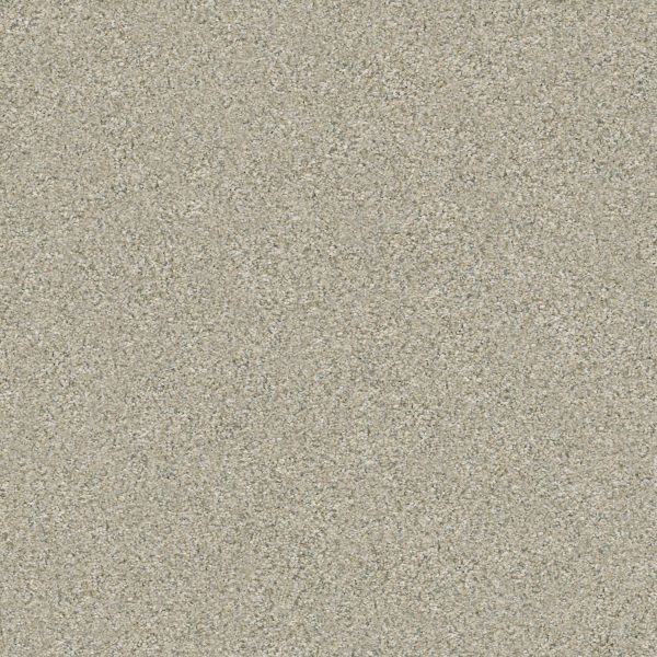 Shaw Floors Retail MONTAGE II - 00130 SPUN WOOL