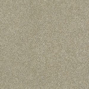 Shaw Floors Retail MONTAGE II - 00140 LUNAR SURFACE